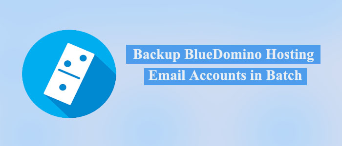 BlueDomino Backup